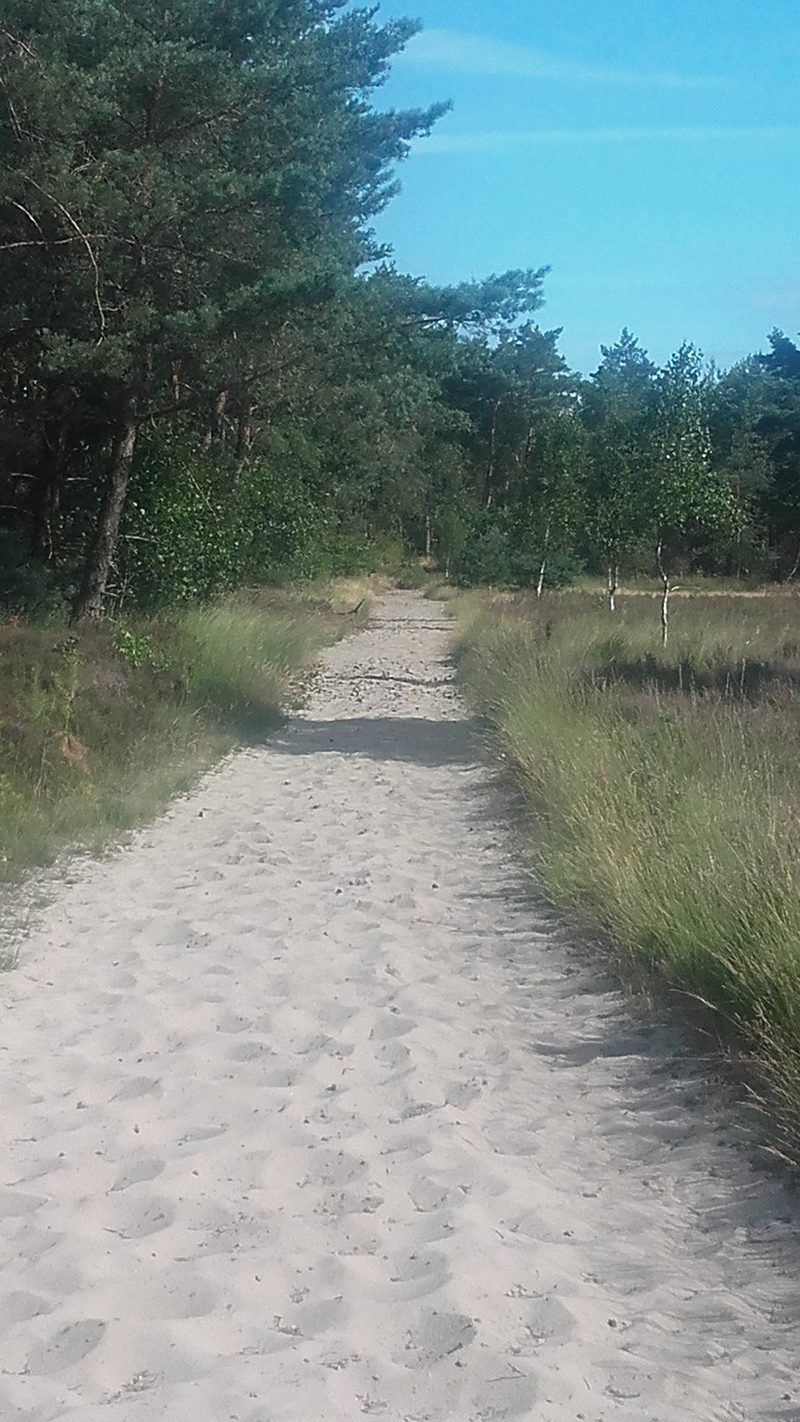 Bram Blaauw Uitvaartverzorging - natuurbegraafplaats